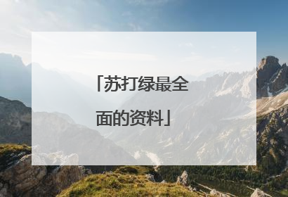 苏打绿最全面的资料