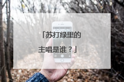 苏打绿里的主唱是谁？