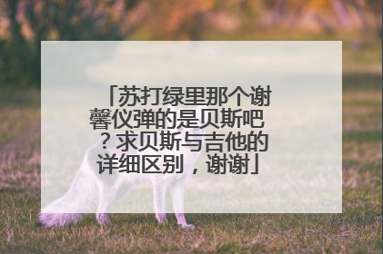 苏打绿里那个谢馨仪弹的是贝斯吧？求贝斯与吉他的详细区别，谢谢