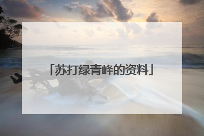 苏打绿青峰的资料