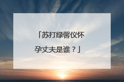 苏打绿馨仪怀孕丈夫是谁？