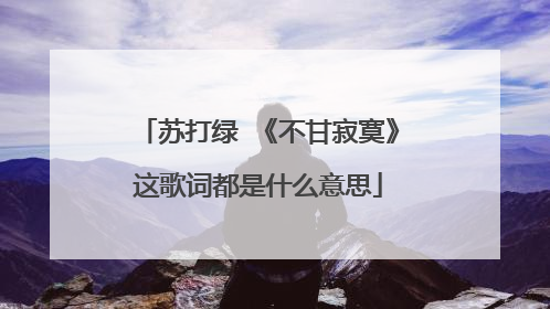 苏打绿 《不甘寂寞》这歌词都是什么意思