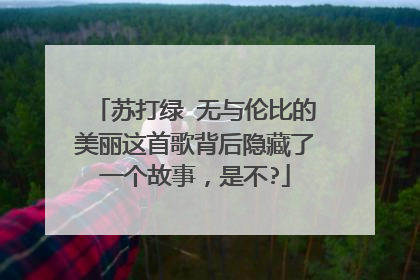 苏打绿 无与伦比的美丽这首歌背后隐藏了一个故事，是不?