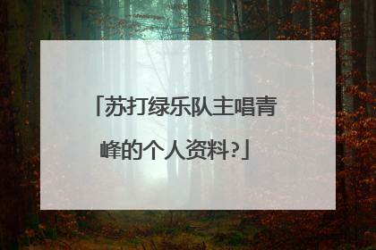 苏打绿乐队主唱青峰的个人资料?