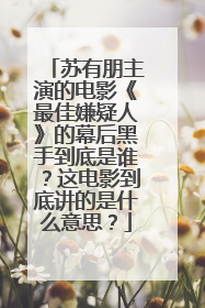 苏有朋主演的电影《最佳嫌疑人》的幕后黑手到底是谁?这电影到底讲的是什么意思?