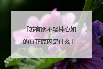 苏有朋不娶林心如的真正原因是什么