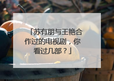 苏有朋与王艳合作过的电视剧,你看过几部?