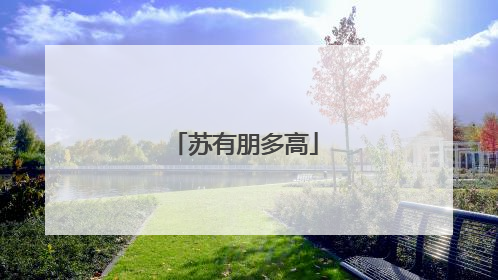 苏有朋多高