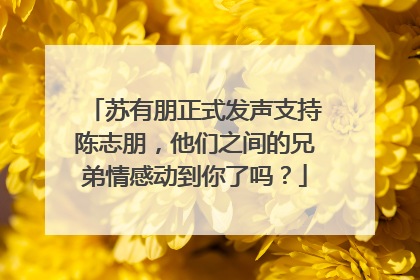 苏有朋正式发声支持陈志朋,他们之间的兄弟情感动到你了吗?
