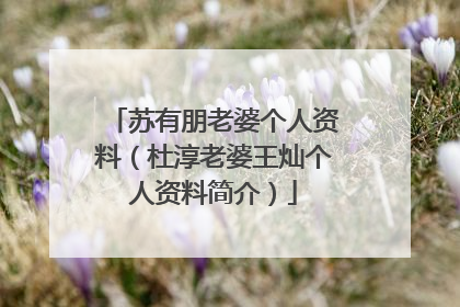 苏有朋老婆个人资料(杜淳老婆王灿个人资料简介)