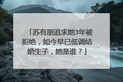 苏有朋追求她3年被拒绝,如今早已低调结婚生子,她是谁?
