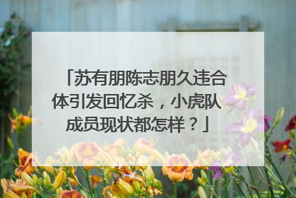 苏有朋陈志朋久违合体引发回忆杀,小虎队成员现状都怎样?