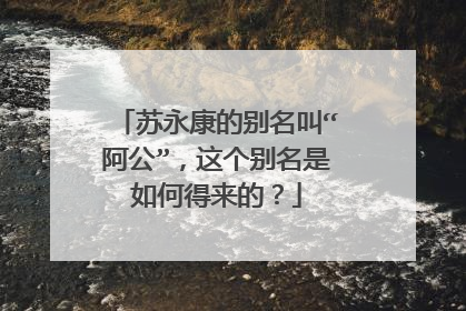 苏永康的别名叫“阿公”，这个别名是如何得来的？