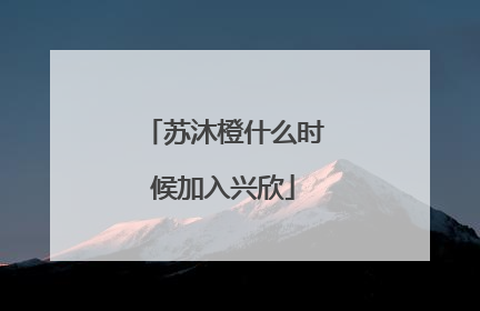 苏沐橙什么时候加入兴欣