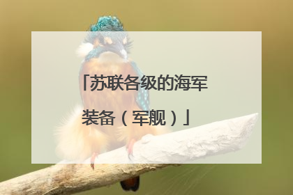 苏联各级的海军装备（军舰）
