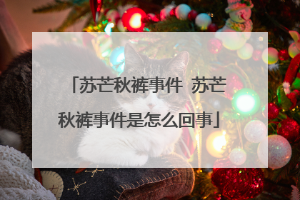 苏芒秋裤事件 苏芒秋裤事件是怎么回事