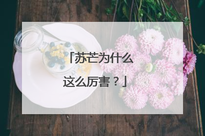 苏芒为什么这么厉害？