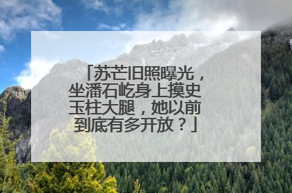 苏芒旧照曝光，坐潘石屹身上摸史玉柱大腿，她以前到底有多开放？