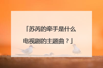 苏芮的牵手是什么电视剧的主题曲？