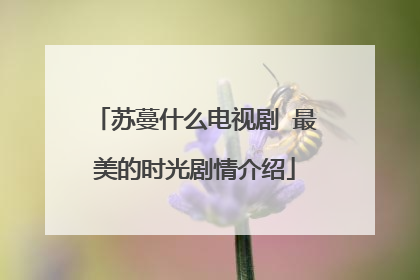 苏蔓什么电视剧 最美的时光剧情介绍