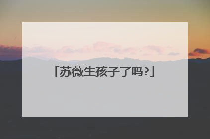 苏薇生孩子了吗?