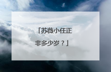 苏薇小任正非多少岁?