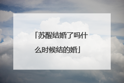 苏醒结婚了吗什么时候结的婚
