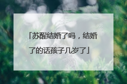 苏醒结婚了吗,结婚了的话孩子几岁了