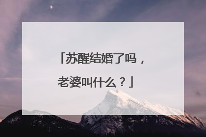 苏醒结婚了吗，老婆叫什么？