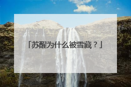 苏醒为什么被雪藏?