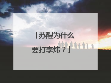 苏醒为什么要打李炜?