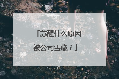 苏醒什么原因被公司雪藏？