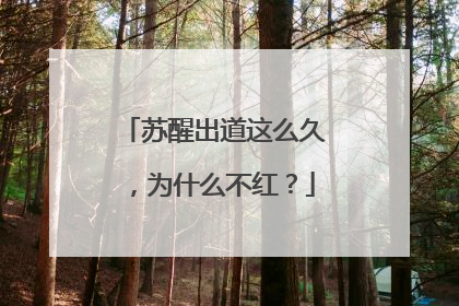 苏醒出道这么久,为什么不红?