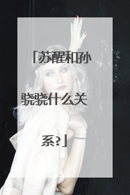 苏醒和孙骁骁什么关系?