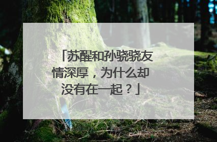 苏醒和孙骁骁友情深厚，为什么却没有在一起？