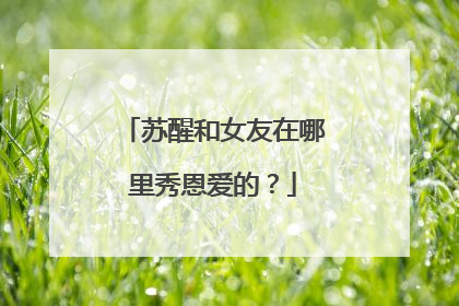 苏醒和女友在哪里秀恩爱的？