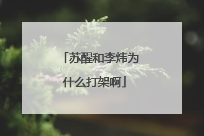 苏醒和李炜为什么打架啊