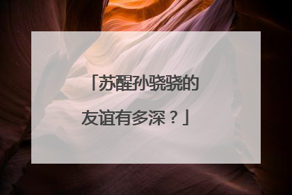 苏醒孙骁骁的友谊有多深？