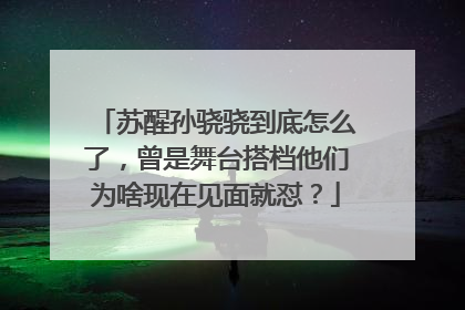 苏醒孙骁骁到底怎么了，曾是舞台搭档他们为啥现在见面就怼？