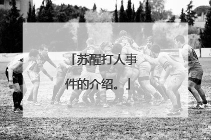 苏醒打人事件的介绍。