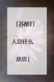 苏醒打人是什么意思