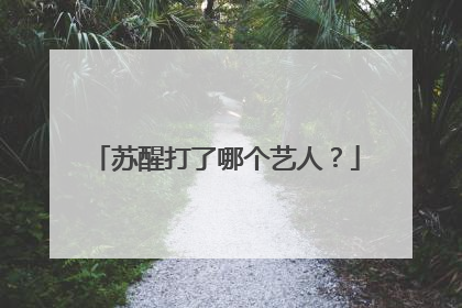 苏醒打了哪个艺人?