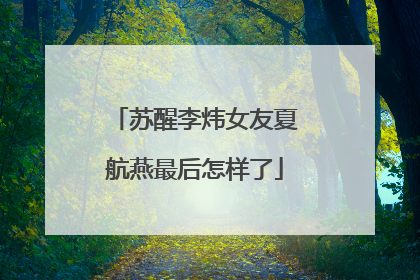 苏醒李炜女友夏航燕最后怎样了