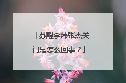 苏醒李炜张杰关门是怎么回事？