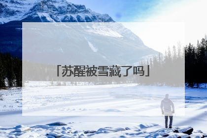 苏醒被雪藏了吗