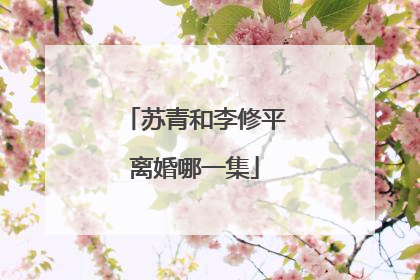 苏青和李修平离婚哪一集