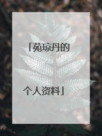 苑琼丹的个人资料
