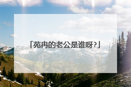 苑冉的老公是谁呀?