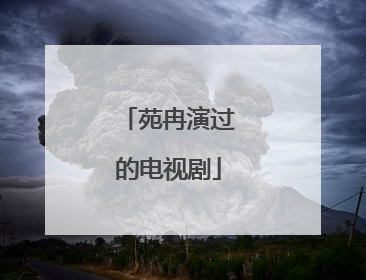 苑冉演过的电视剧