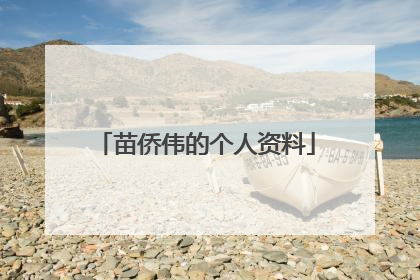 苗侨伟的个人资料